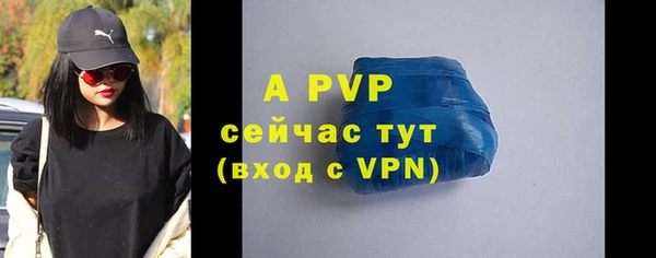 стафф Михайлов