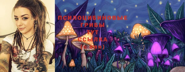 спайс Мегион