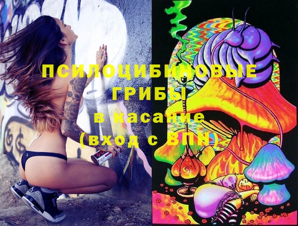 стафф Михайлов