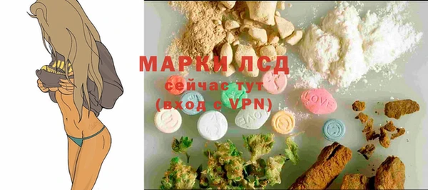 стафф Михайлов