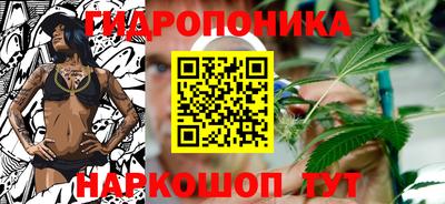 ALPHA PVP Гатчина