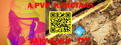 ALPHA PVP Гатчина